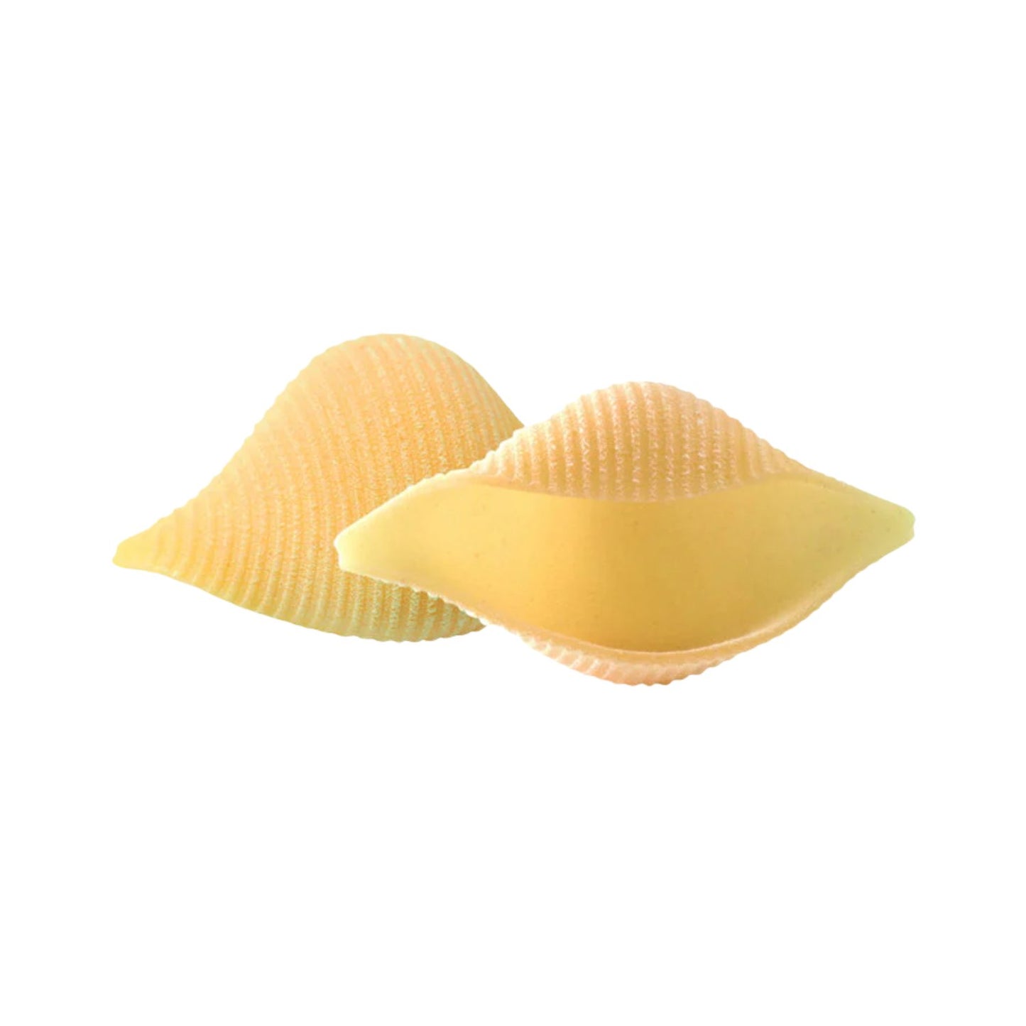 Di Martino Dolce & Gabbana Conchiglioni Pasta 500g Gragnano IGP | Shop Baruccio | UK Delivery