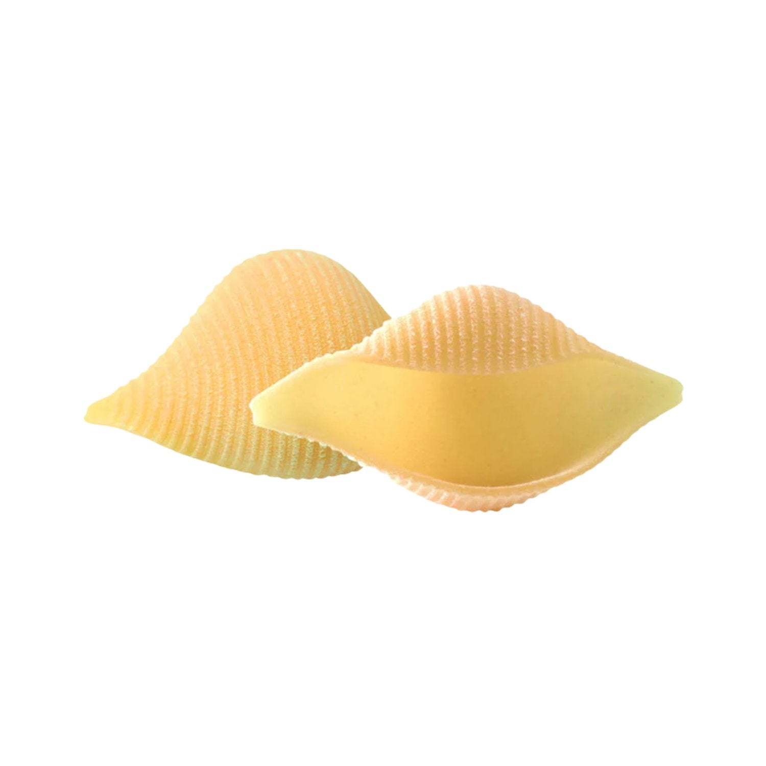 Di Martino Dolce & Gabbana Conchiglioni Pasta 500g Gragnano IGP | Shop Baruccio | UK Delivery