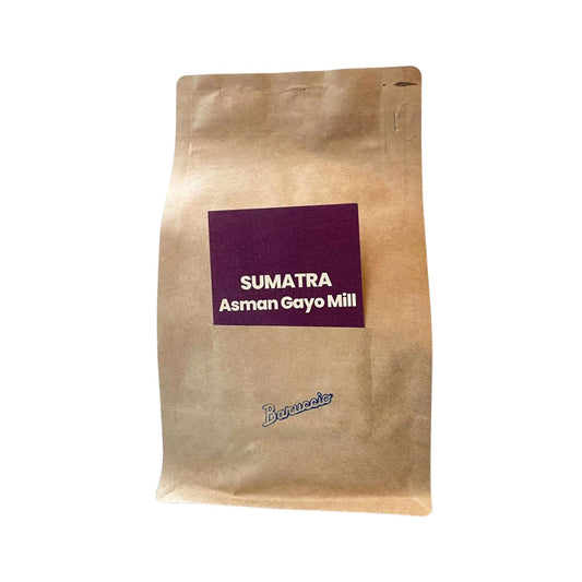 Sumatra Asman Gayo Mill Freshly Roasted Coffee Beans 250g