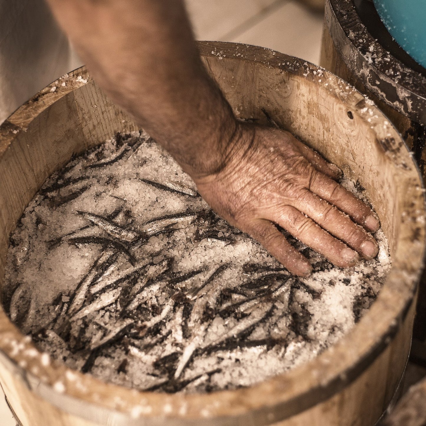 Anchovy Fillets in Olive Oil 45g
