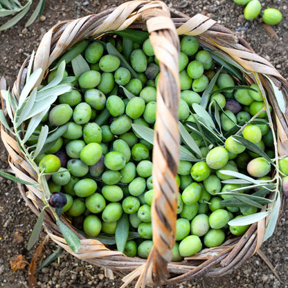 Organic Extra Virgin Olive Oil Tin 500ml